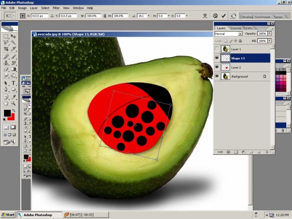 Creation of BUG: Step 5