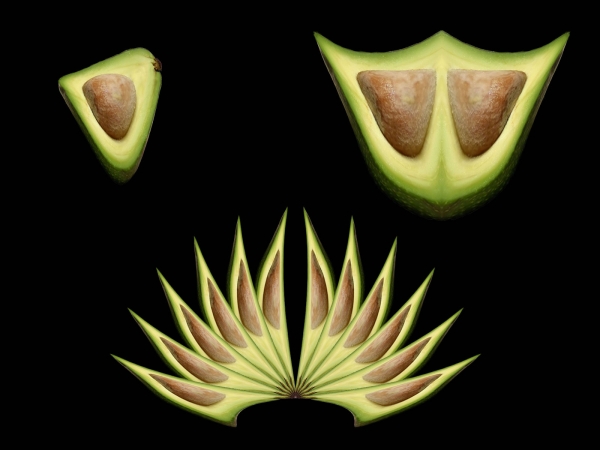 Creation of Fruit Face: Step 2
