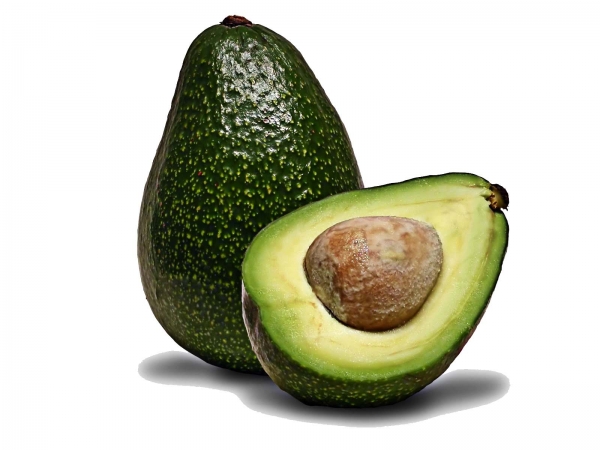 Creation of Avacado frog: Step 1