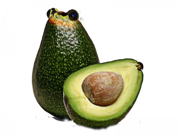 Creation of Avacado frog: Step 2