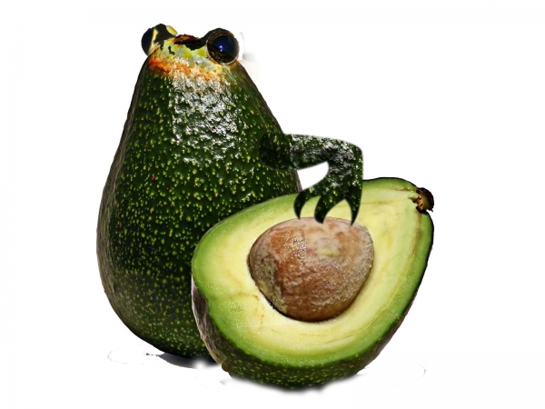 Creation of Avacado frog: Step 3