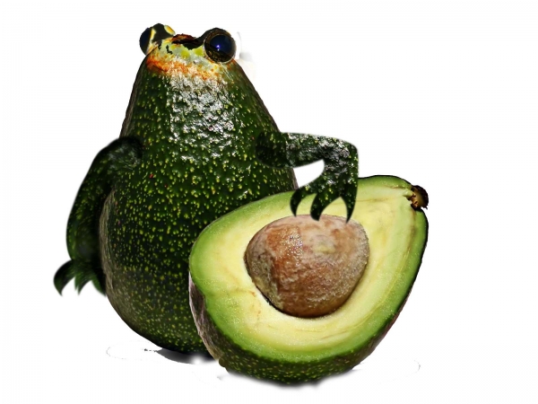Creation of Avacado frog: Step 4