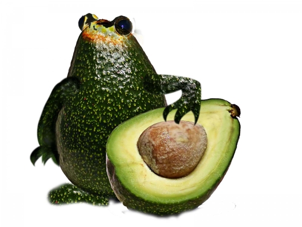 Creation of Avacado frog: Step 5
