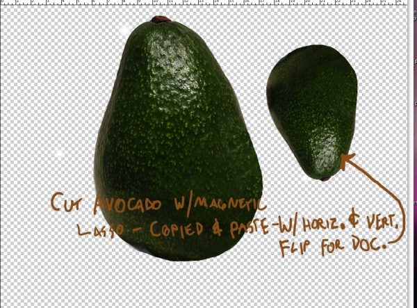 Creation of Avocado Health Concerns: Step 1