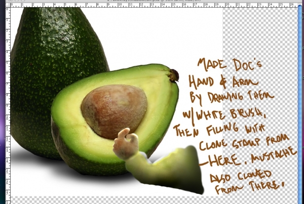 Creation of Avocado Health Concerns: Step 5