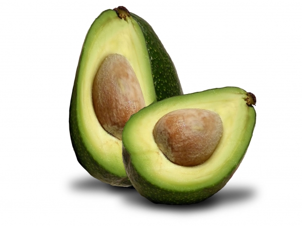Creation of avocado: Step 2
