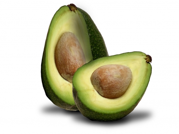 Creation of avocado: Step 4