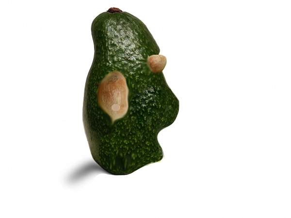Creation of avocado_4a4dfcffd9cb6: Step 2
