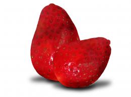 avoberry