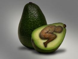 Avocado Child Picture