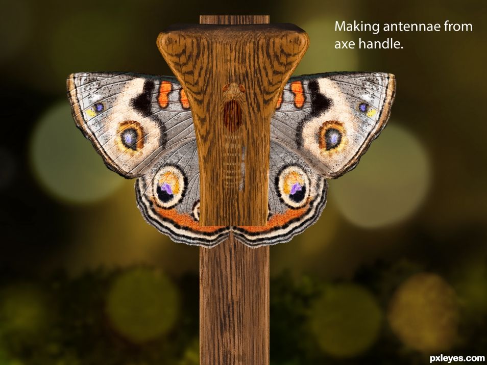Creation of Butterfly From Axe: Step 43