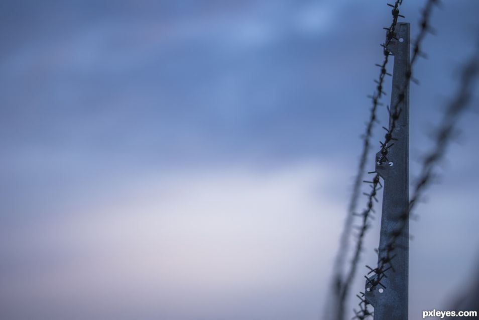 barbed wire