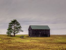 Barn