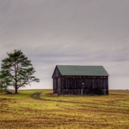 Barn