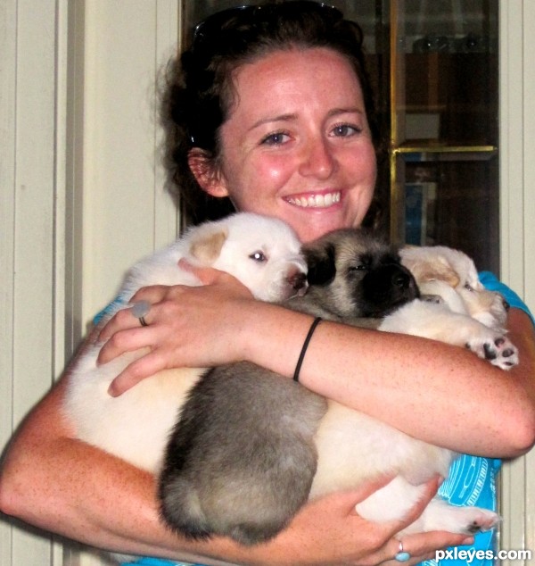 Puppies in Arms