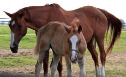 Mother and child