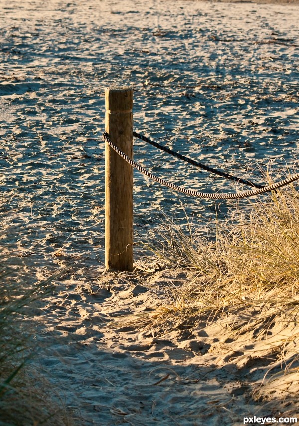 at the beach