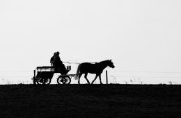 Carriage