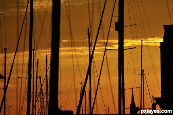 Silhouetted Masts