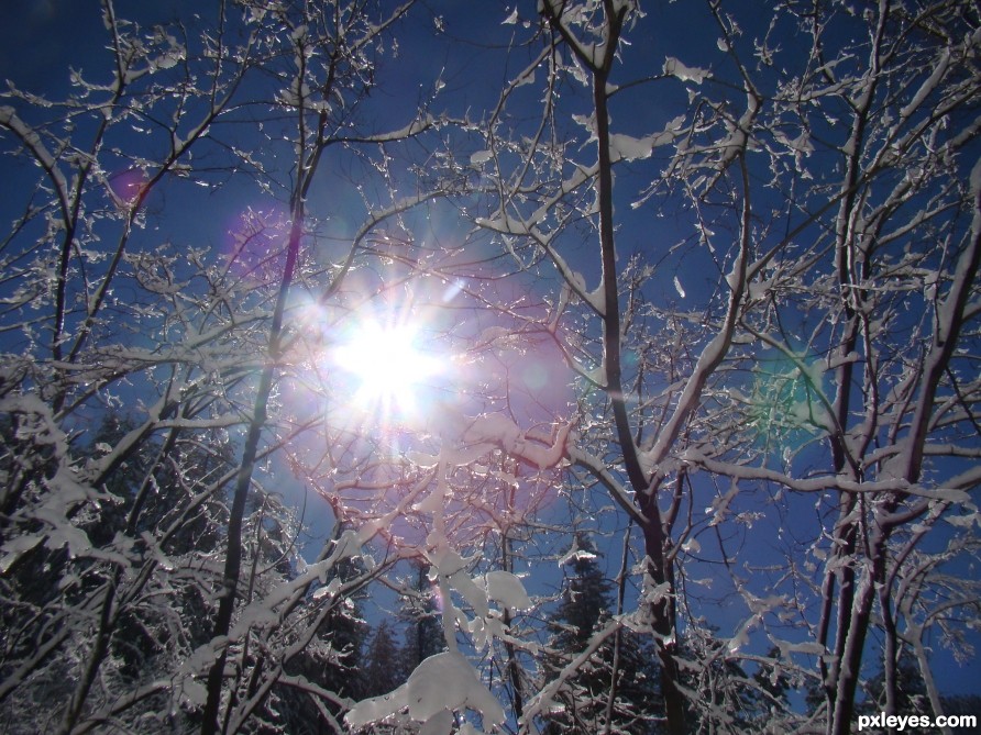 Beaming snow