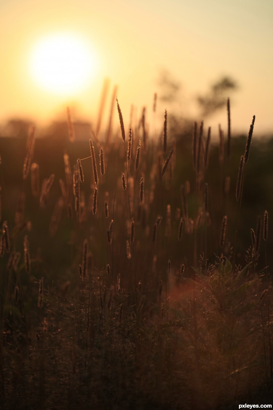 At Sunset