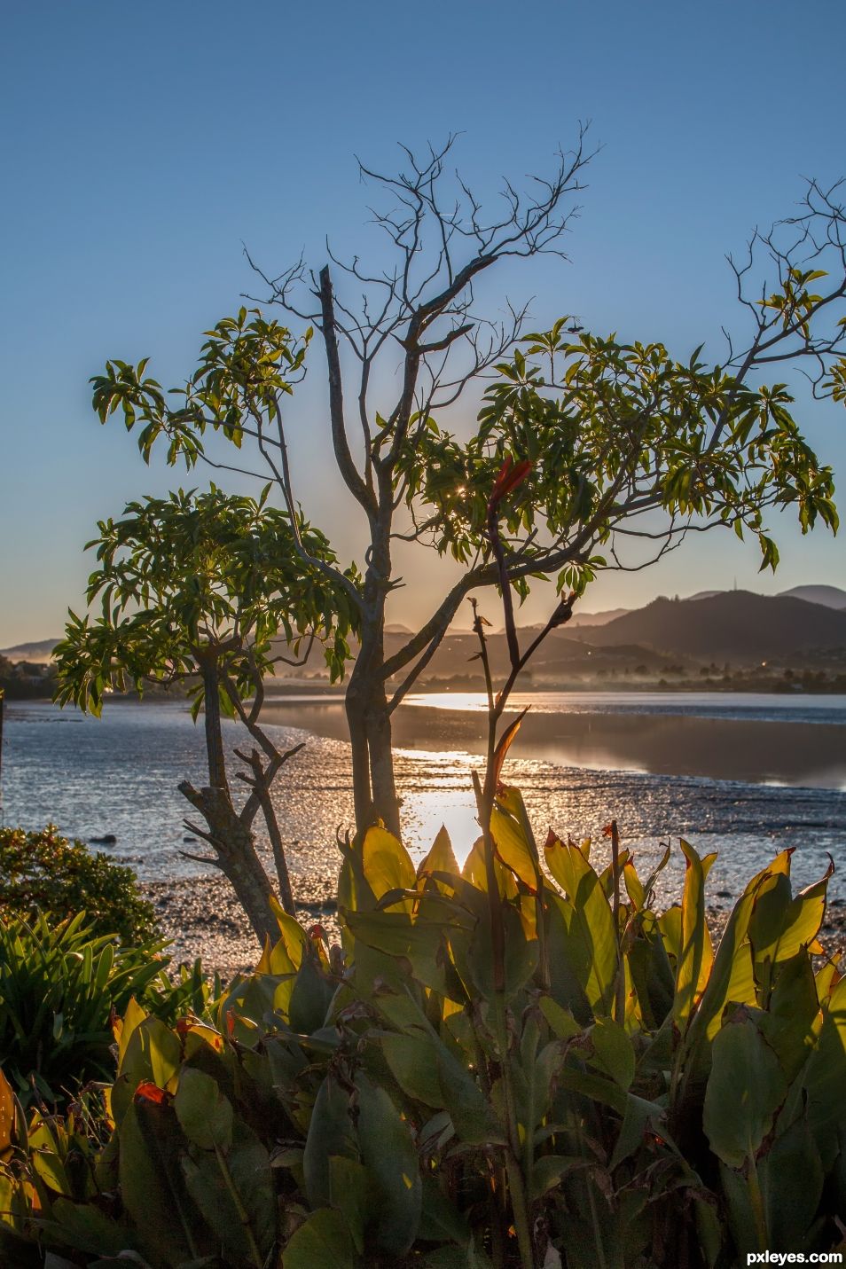 Sun on the estuary