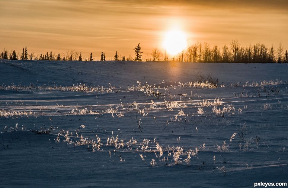 Evening Sun