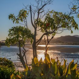 Sunontheestuary