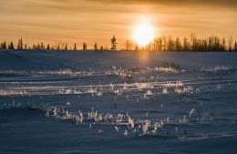 Evening Sun