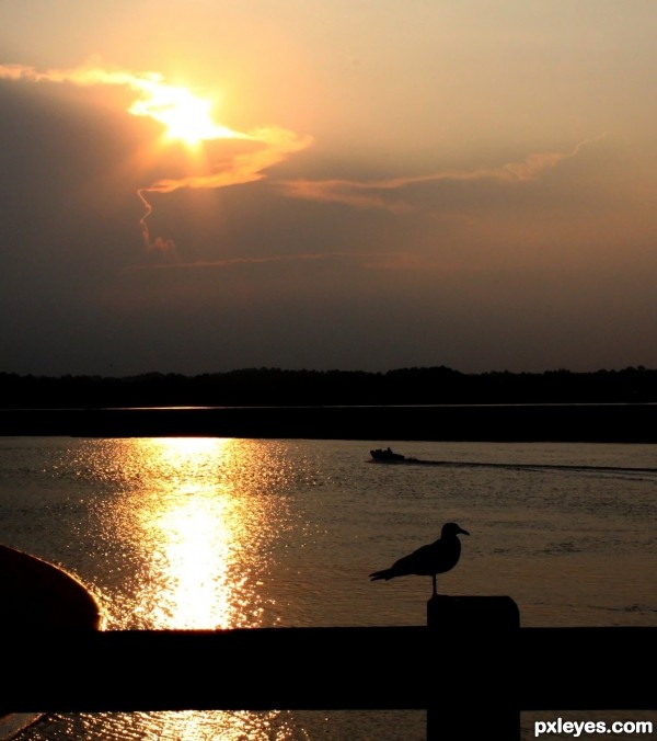 A Night at Big Talbot Fishing