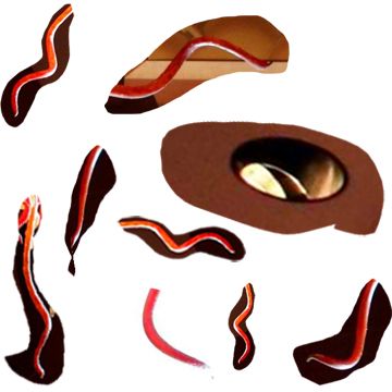 Creation of Squidish Red: Step 6