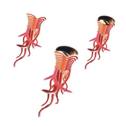 Creation of Squidish Red: Step 7