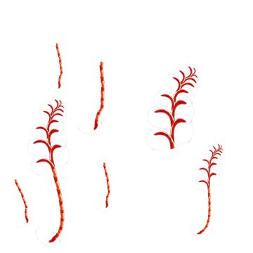Creation of Squidish Red: Step 8
