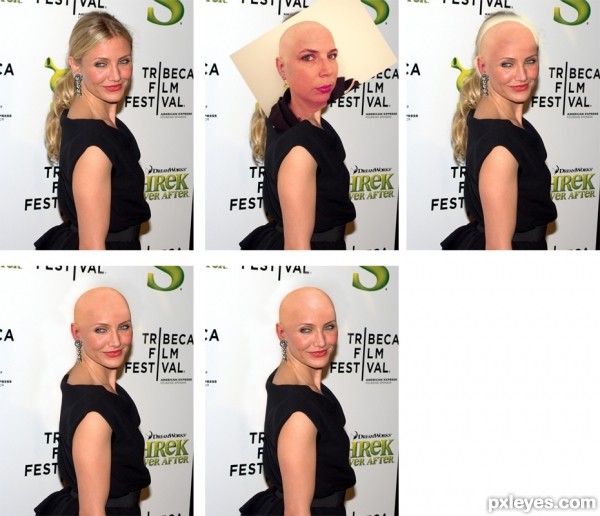 Creation of Bald Cameron Diaz: Step 1