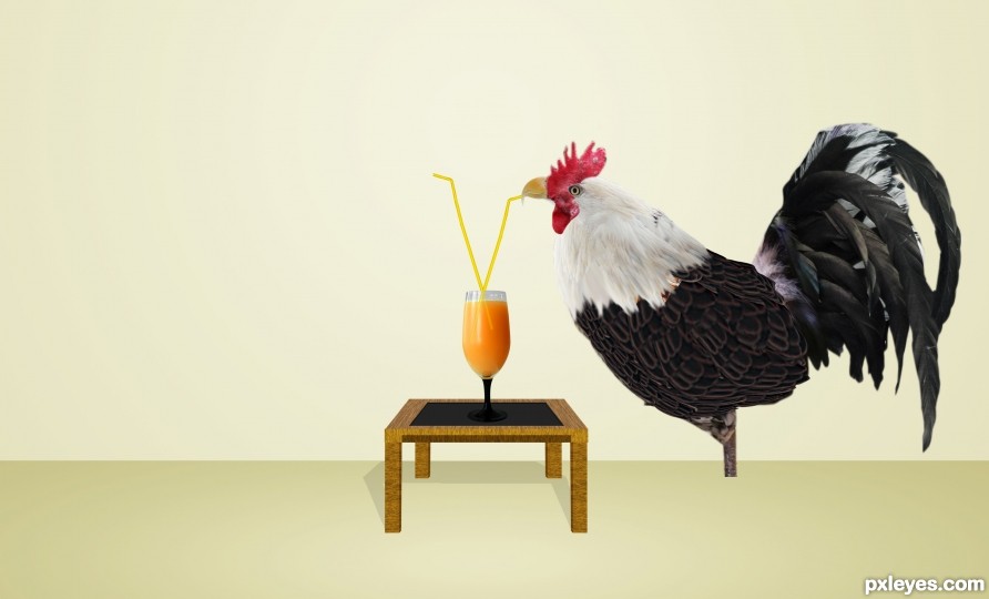 Creation of hen Eagle and Rooster Eagle Fall in Love: Step 9