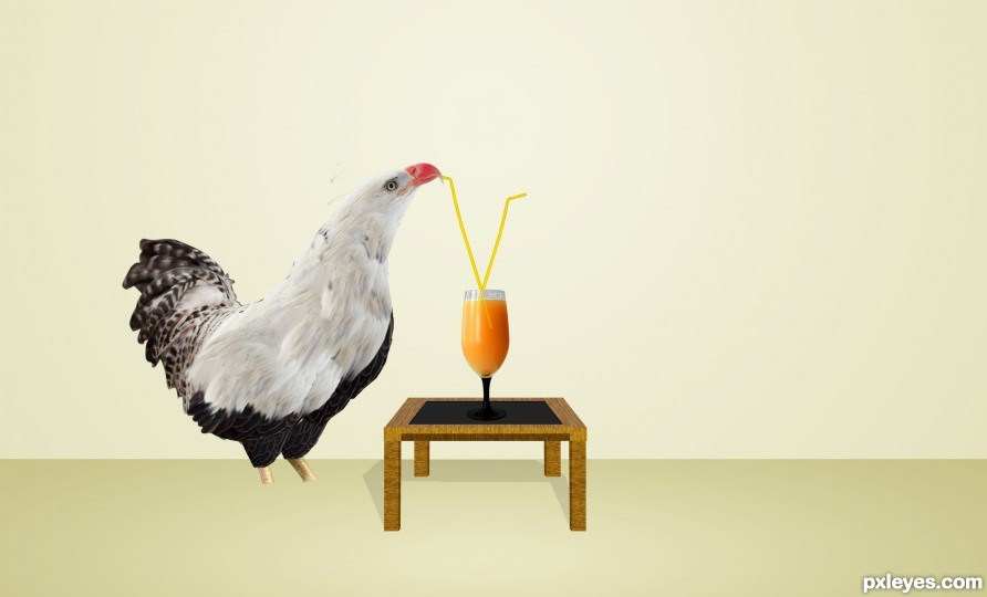 Creation of hen Eagle and Rooster Eagle Fall in Love: Step 13