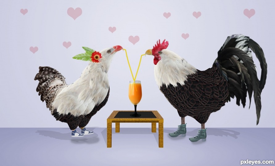Creation of hen Eagle and Rooster Eagle Fall in Love: Step 16