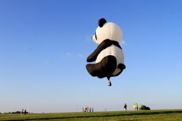 whenpandasfly