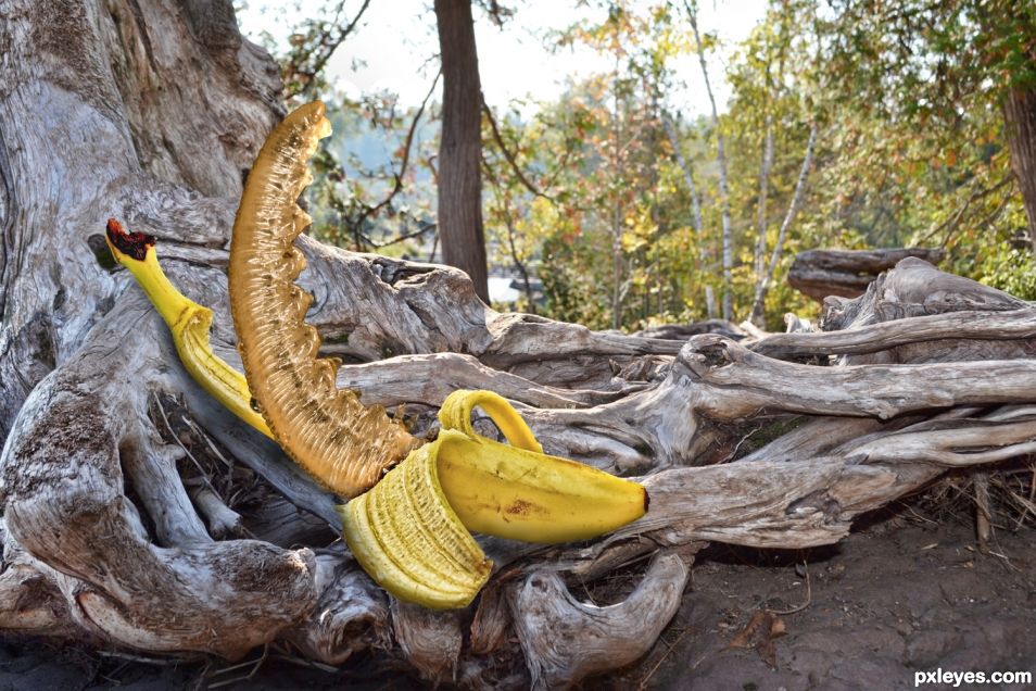 Banana Nana Worm