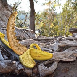 BananaNanaWorm