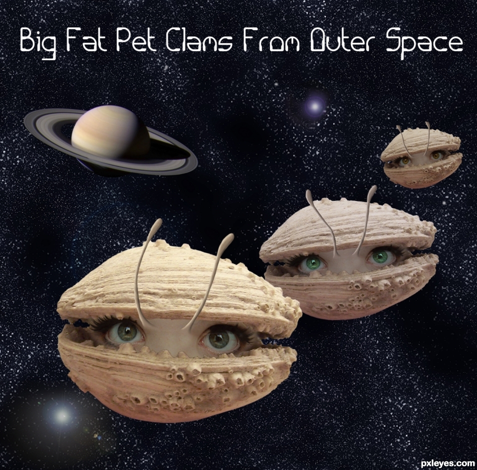 Creation of Big Fat Pet Clams From Outer Space: Final Result