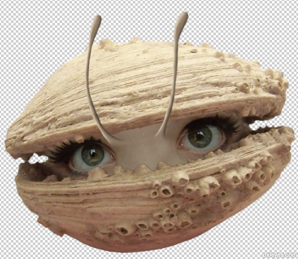 Creation of Big Fat Pet Clams From Outer Space: Step 3