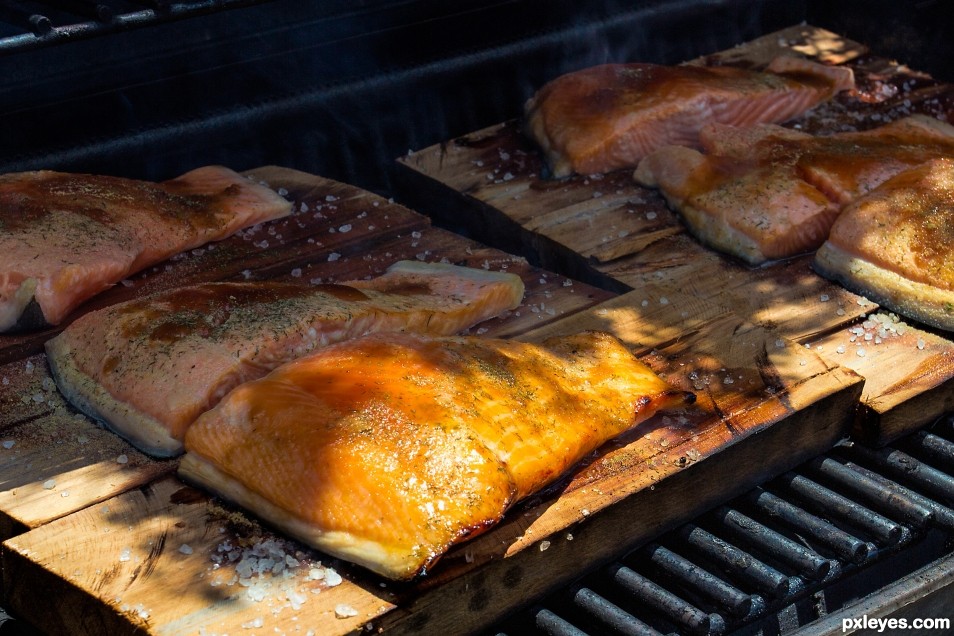 Salmon grilled on planks