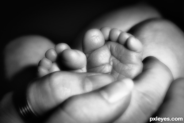 Week Old Toes photoshop picture)