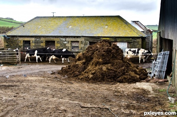 off too milking