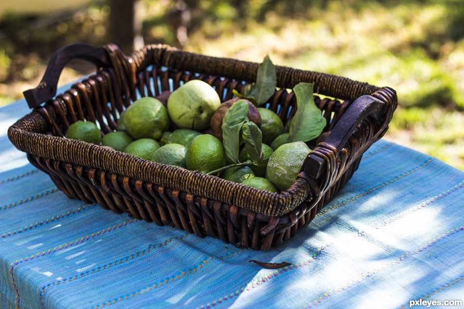 Good , fresh lemons