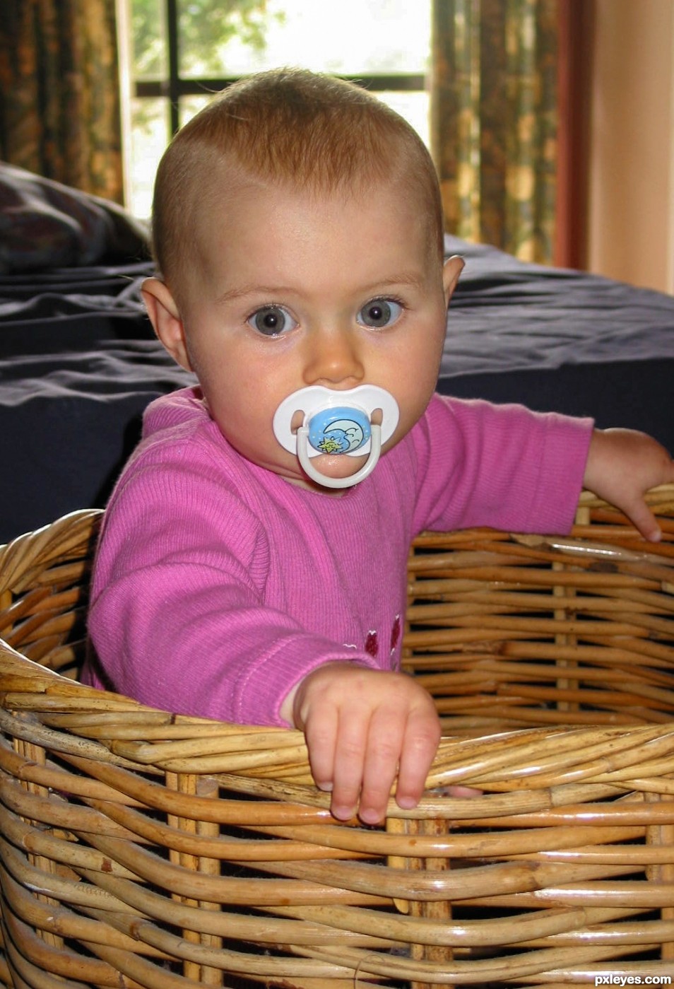 Gift basket or baby sitter
