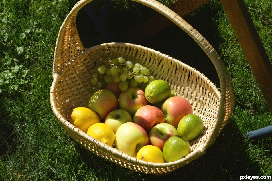 Fruit basket