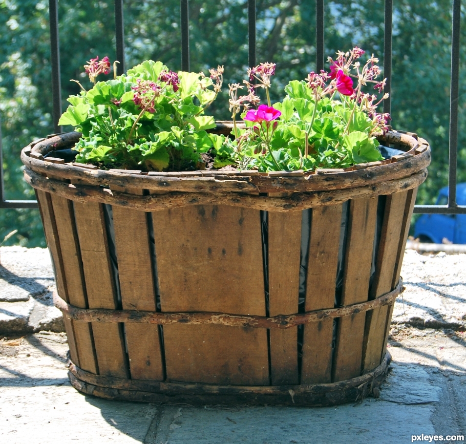 basket with flowers