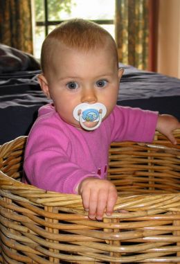 Gift basket or baby sitter